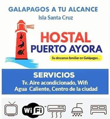 מלון Puerto Ayora Island מראה חיצוני תמונה